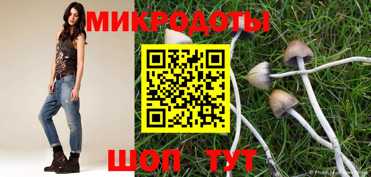 Псилоцибиновые грибы Cubensis Волгодонск