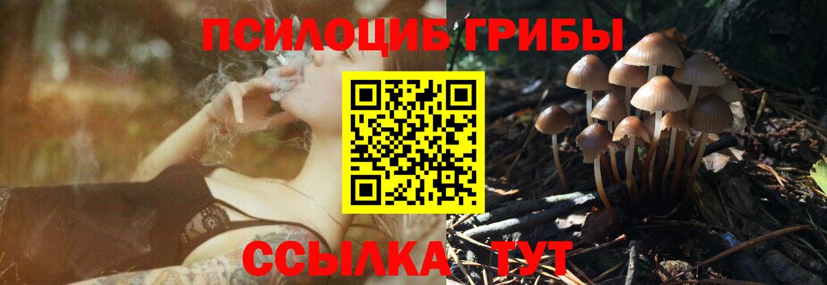 Волгодонск  закладка  Вход с VPN  Галлюциногенные грибы мухоморы  Галлюциногенные грибы MAGIC MUSHROOMS 